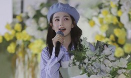 白鹿的爆料新闻,娱乐圈内幕大揭秘